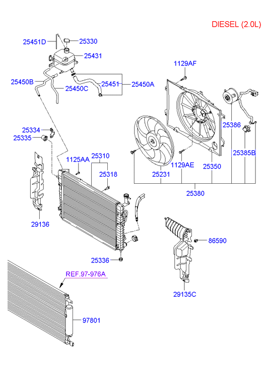 Radiator Hose