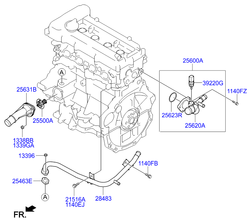 Coolant Pipe & Hose