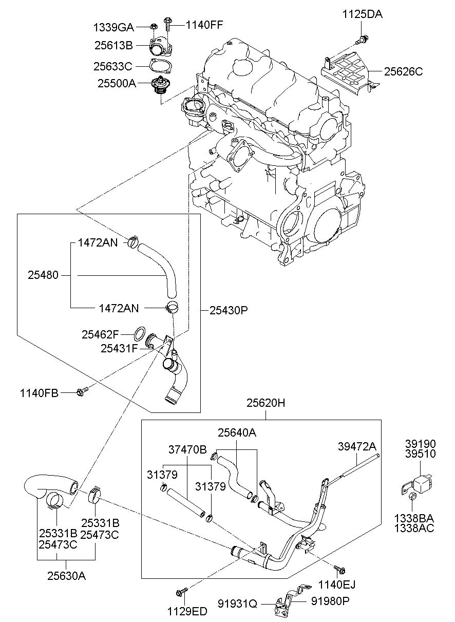 Coolant Hose & Pipe