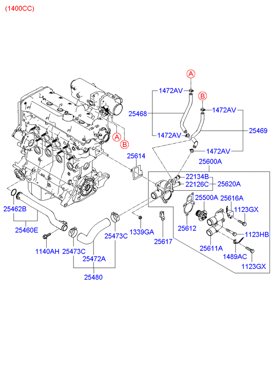 Radiator Hose