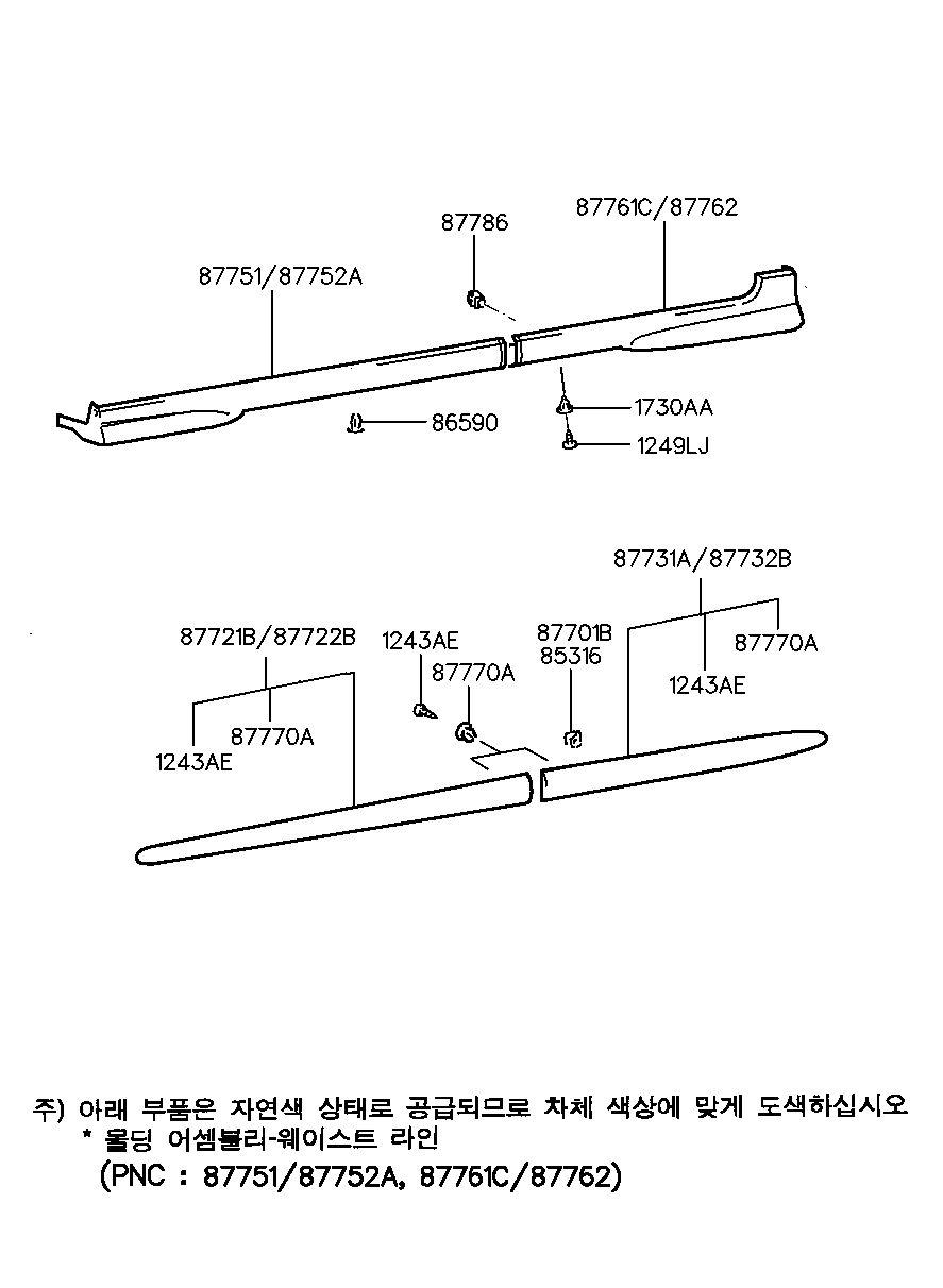 Body Side Trim