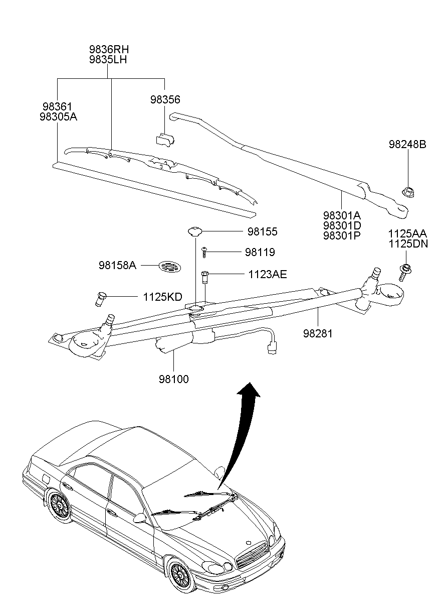 Windshield Wiper