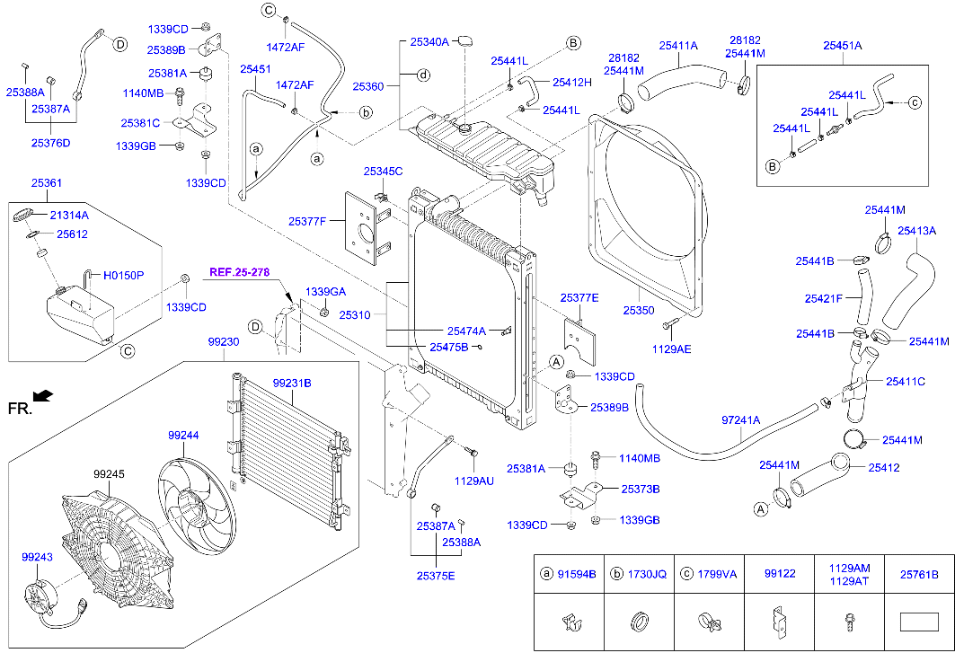 Radiator Hose