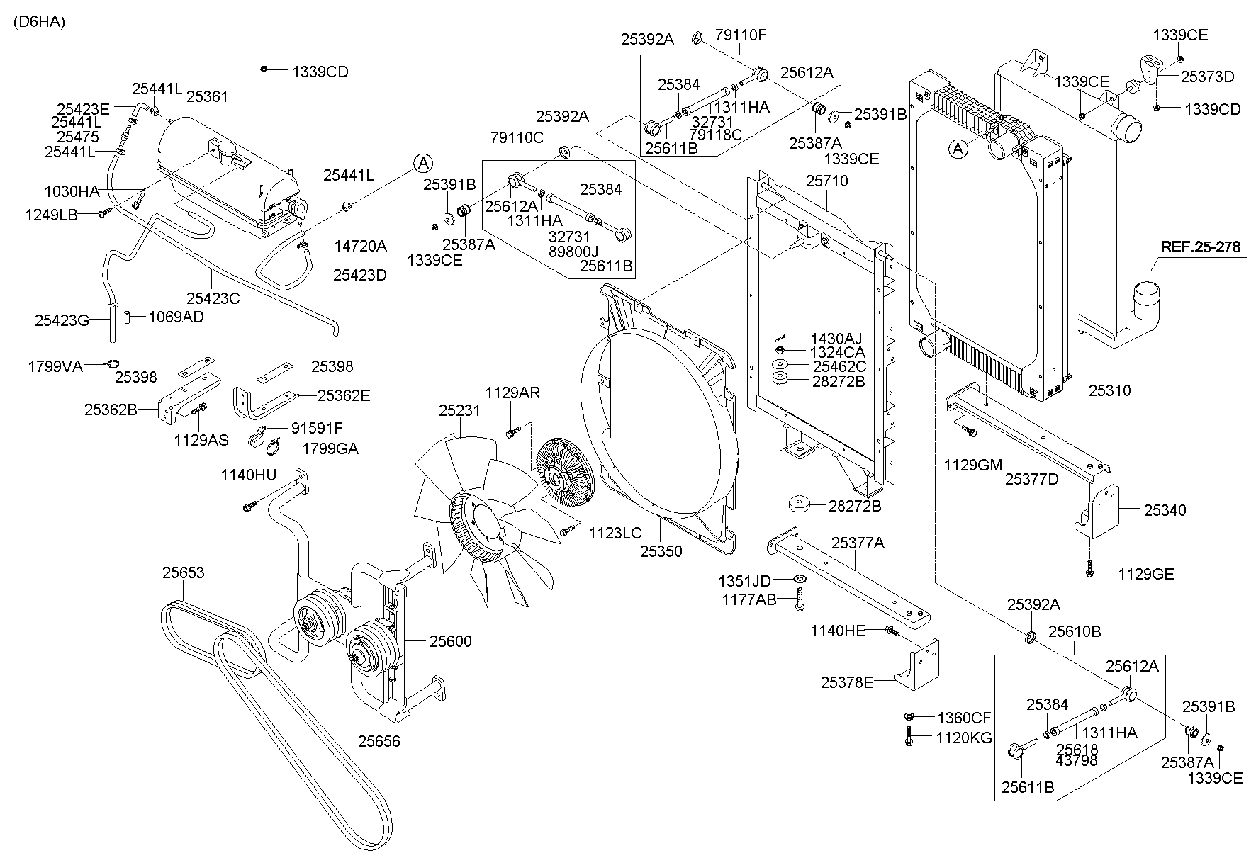 Radiator Hose