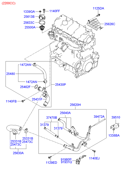 Coolant Hose & Pipe