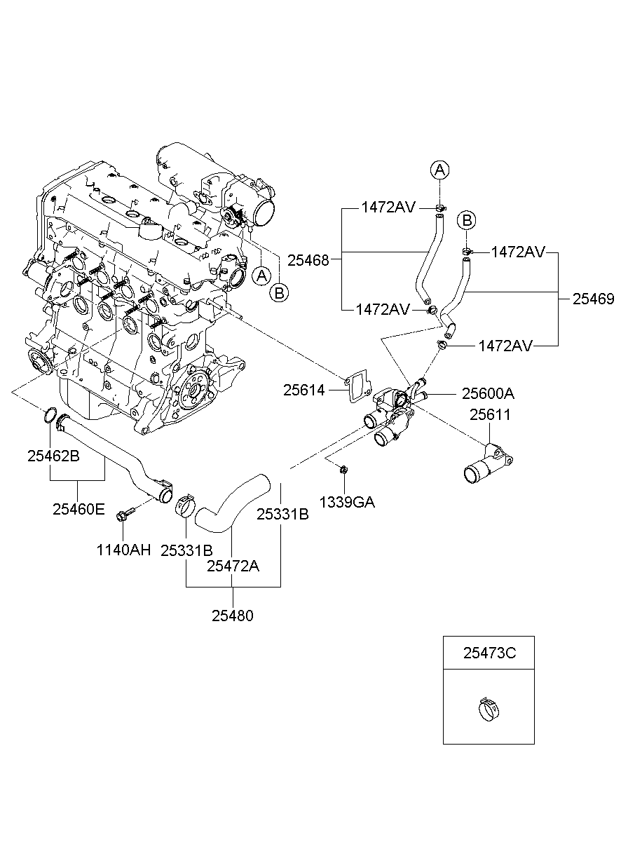 Radiator Hose