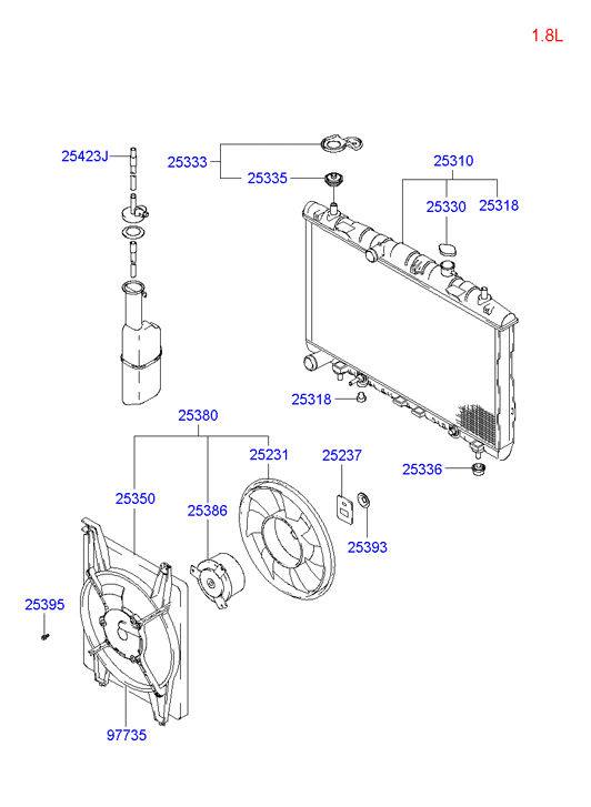 Radiator Hose