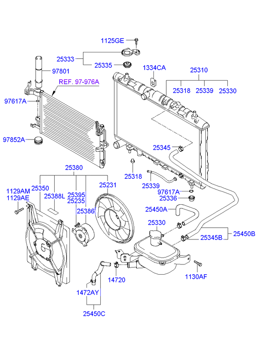 Radiator Hose