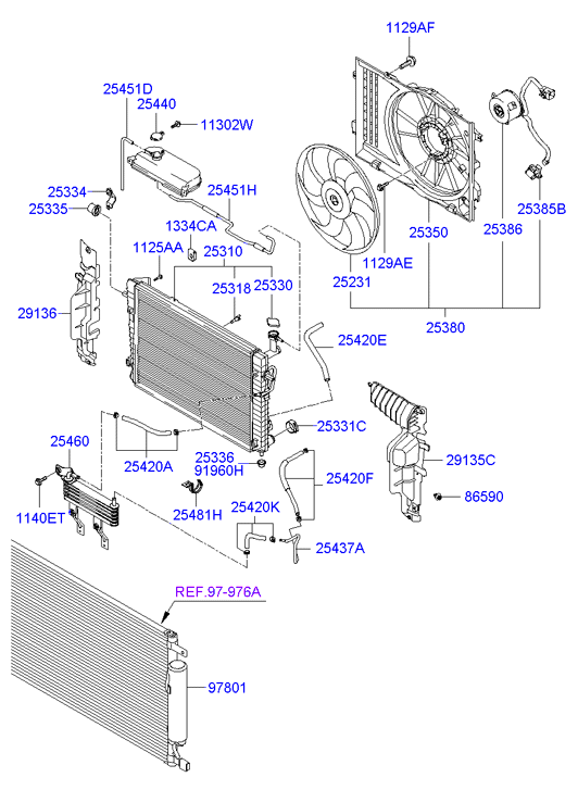 Radiator Hose