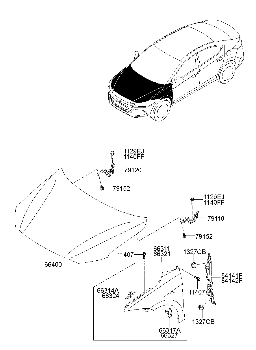 Fender & Hood Panel