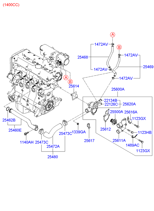 Radiator Hose