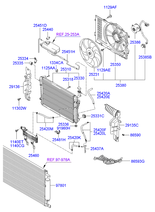 Radiator Hose