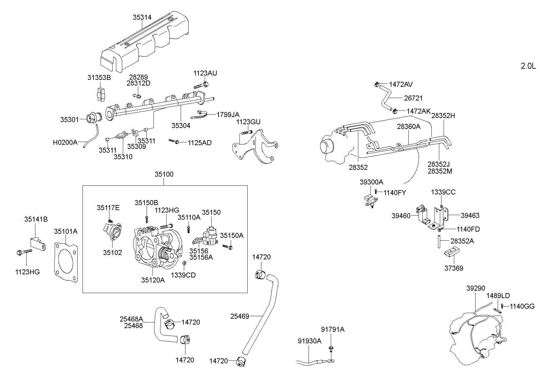 Throttle Body & Injector