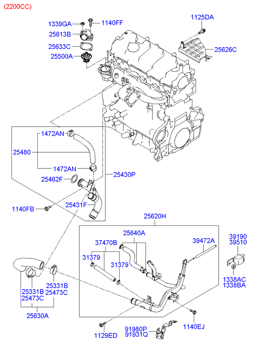 Coolant Hose & Pipe
