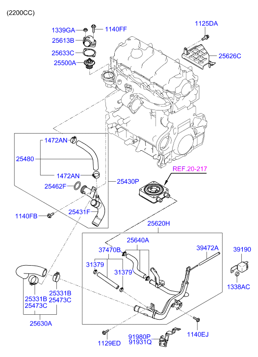 Coolant Hose & Pipe