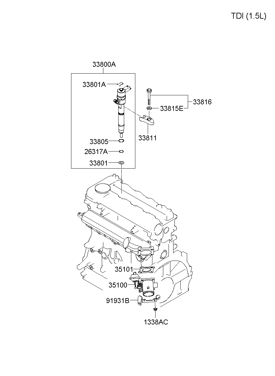 Throttle Body & Injector