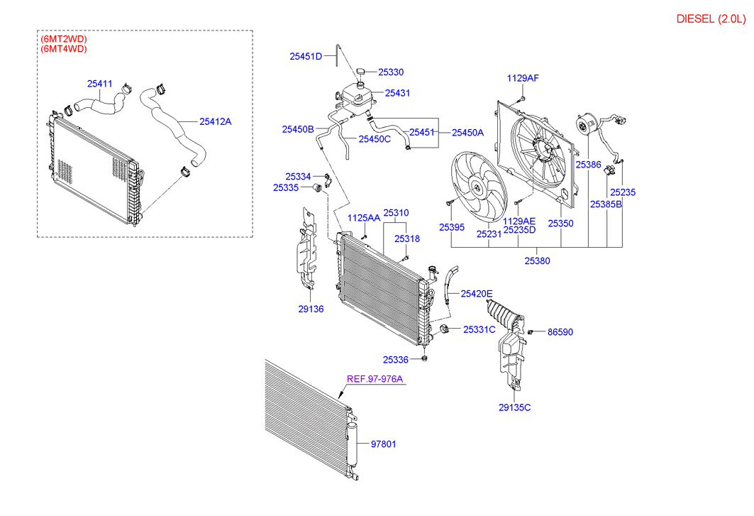 Radiator Hose