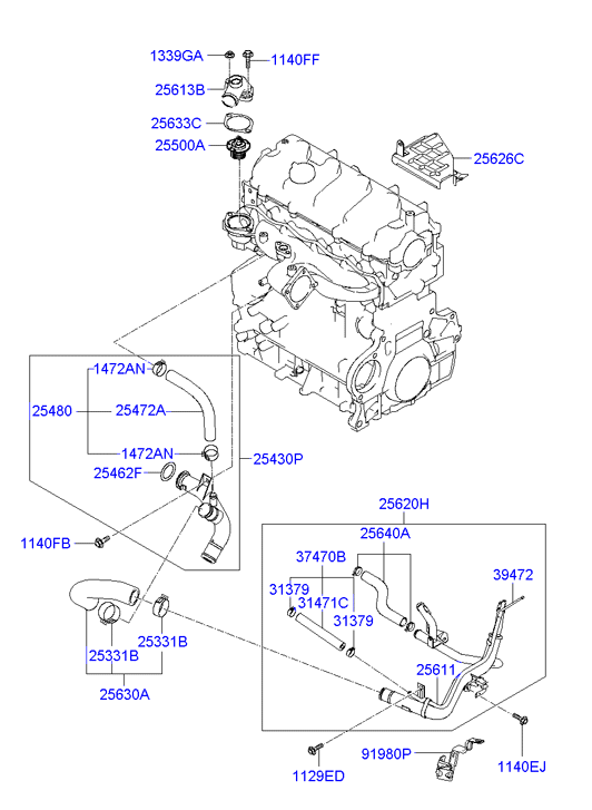 Coolant Pipe & Hose