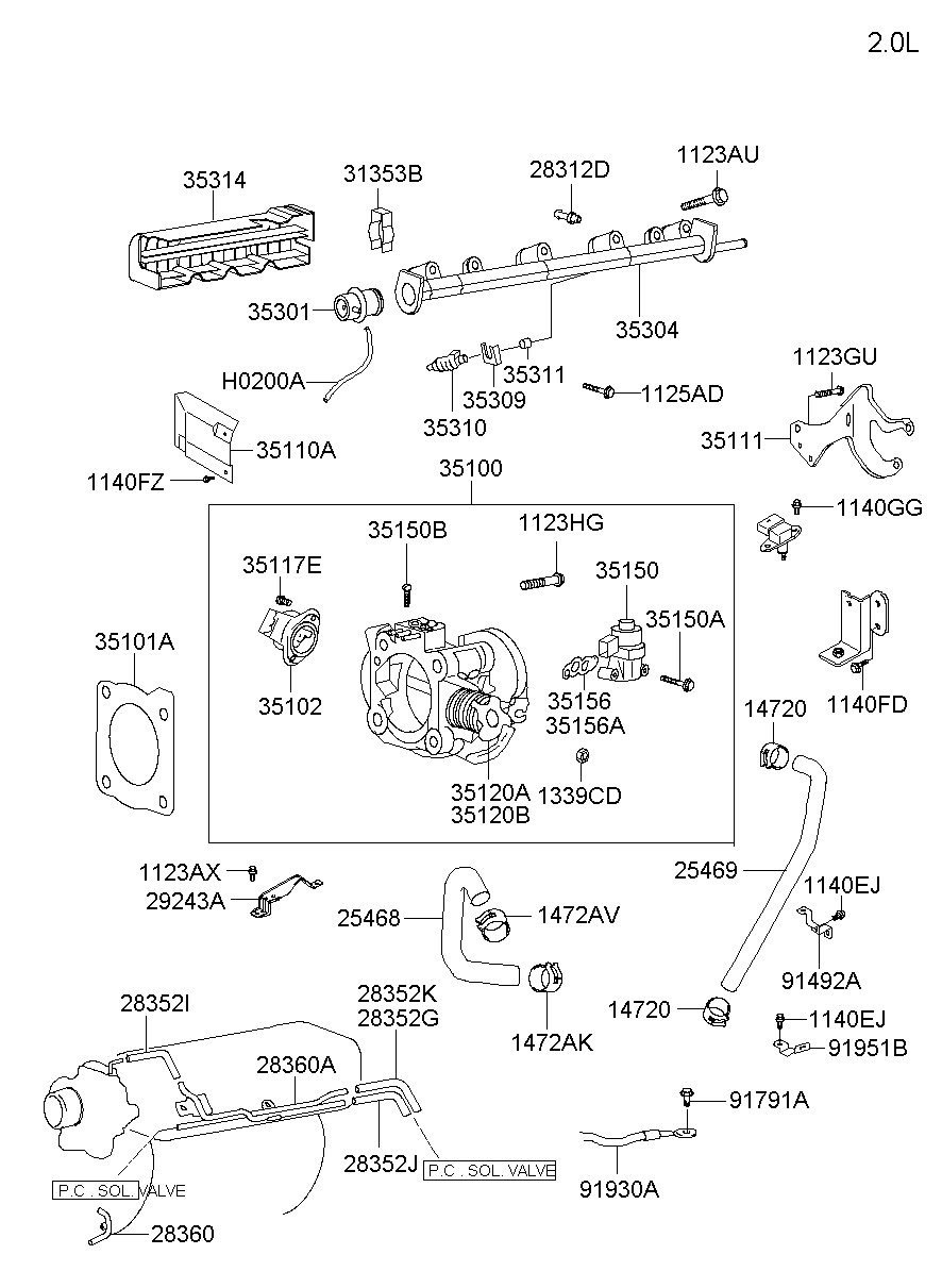 Throttle Body & Injector