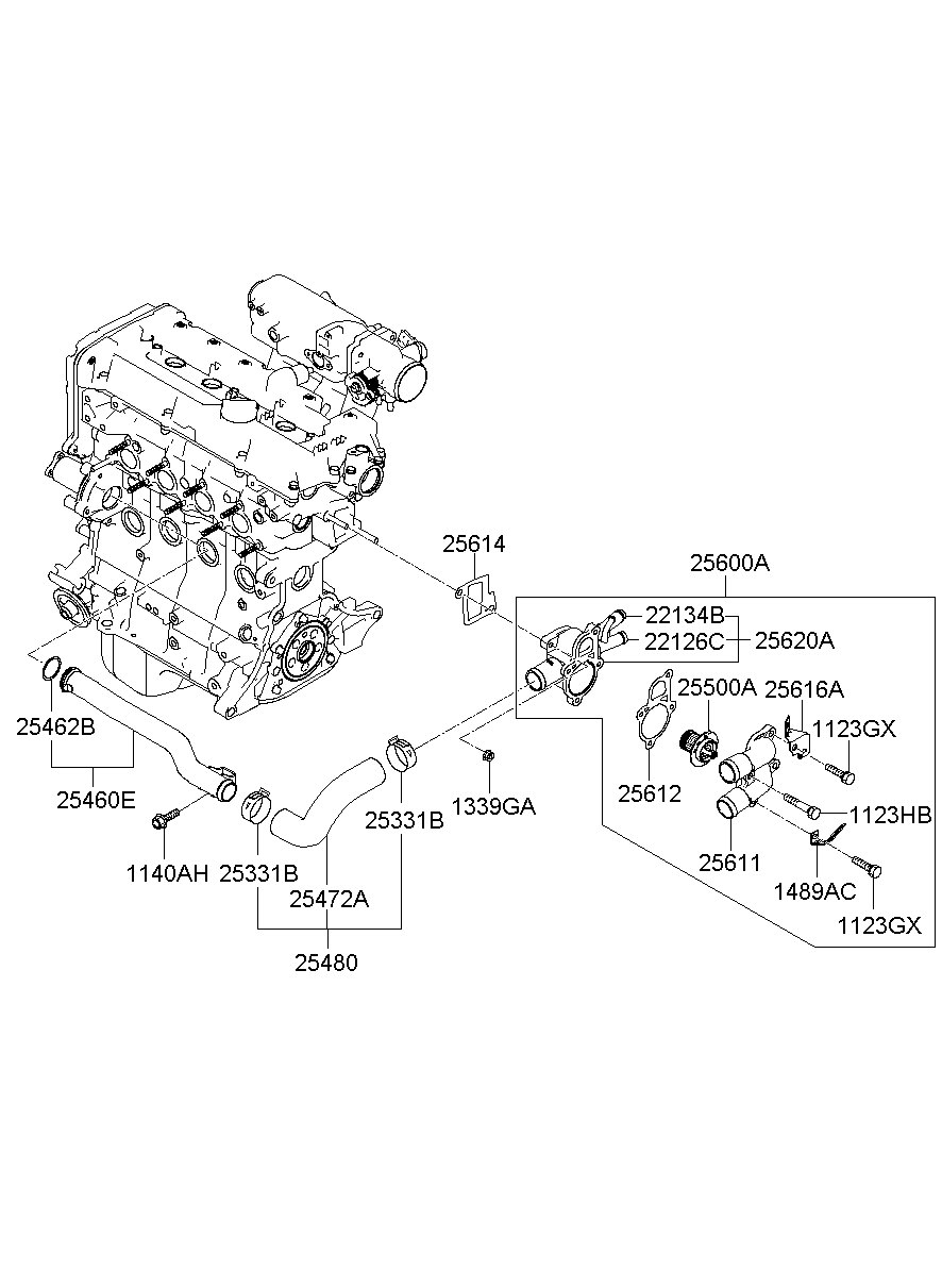 Coolant Pipe & Hose