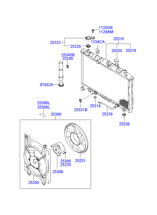 Radiator Hose
