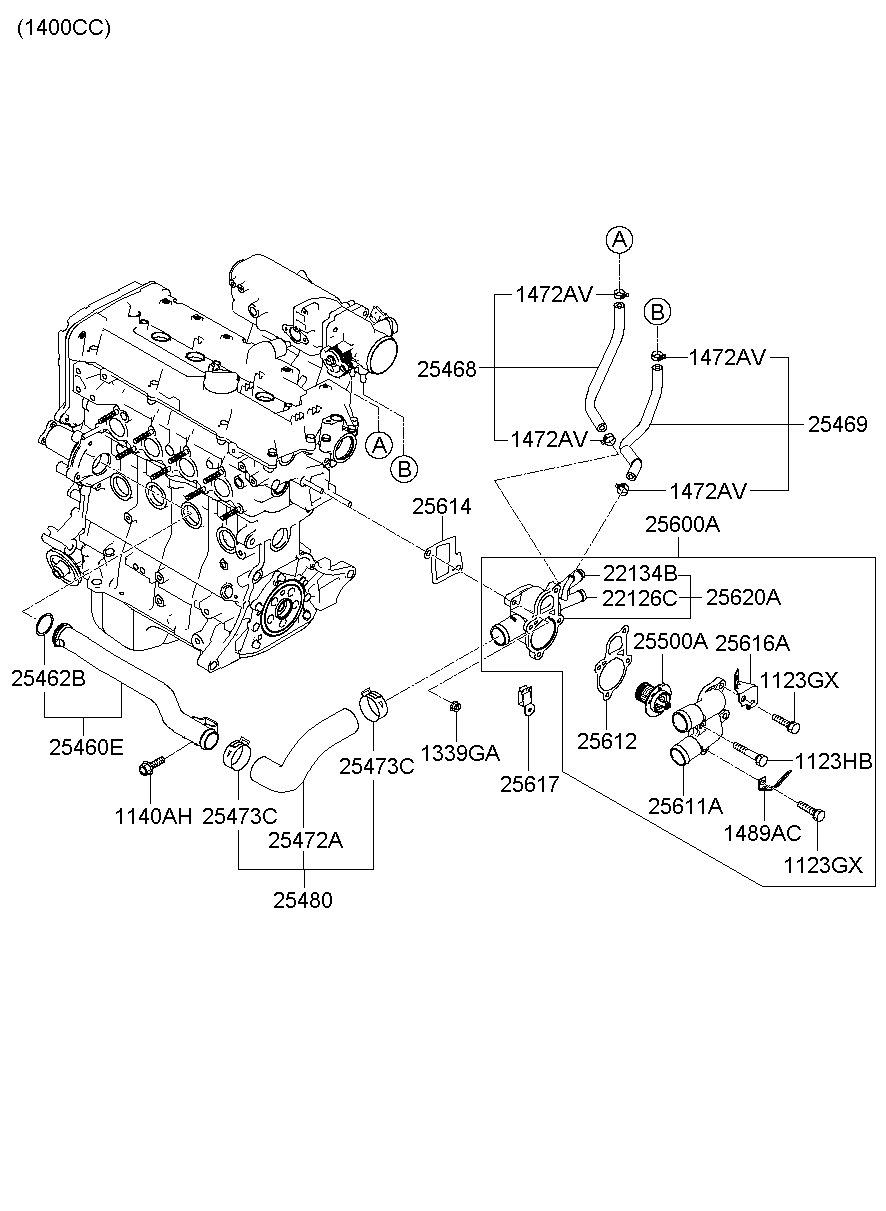 Radiator Hose