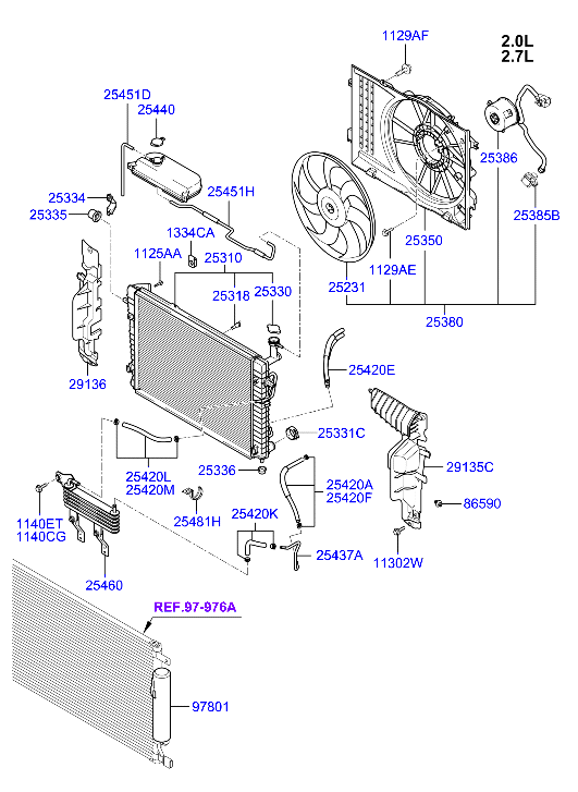 Radiator Hose