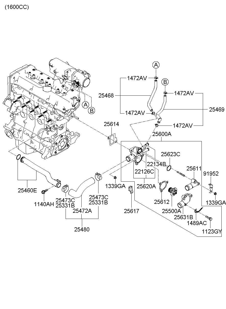 Radiator Hose