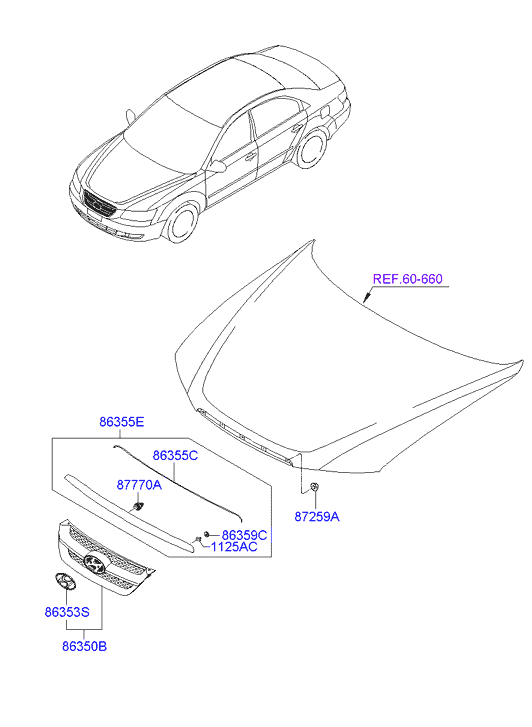Radiator Grille