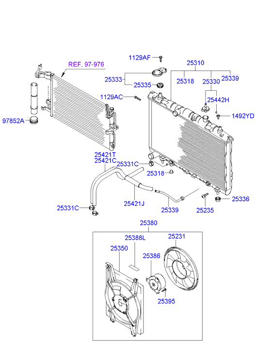 Radiator Hose