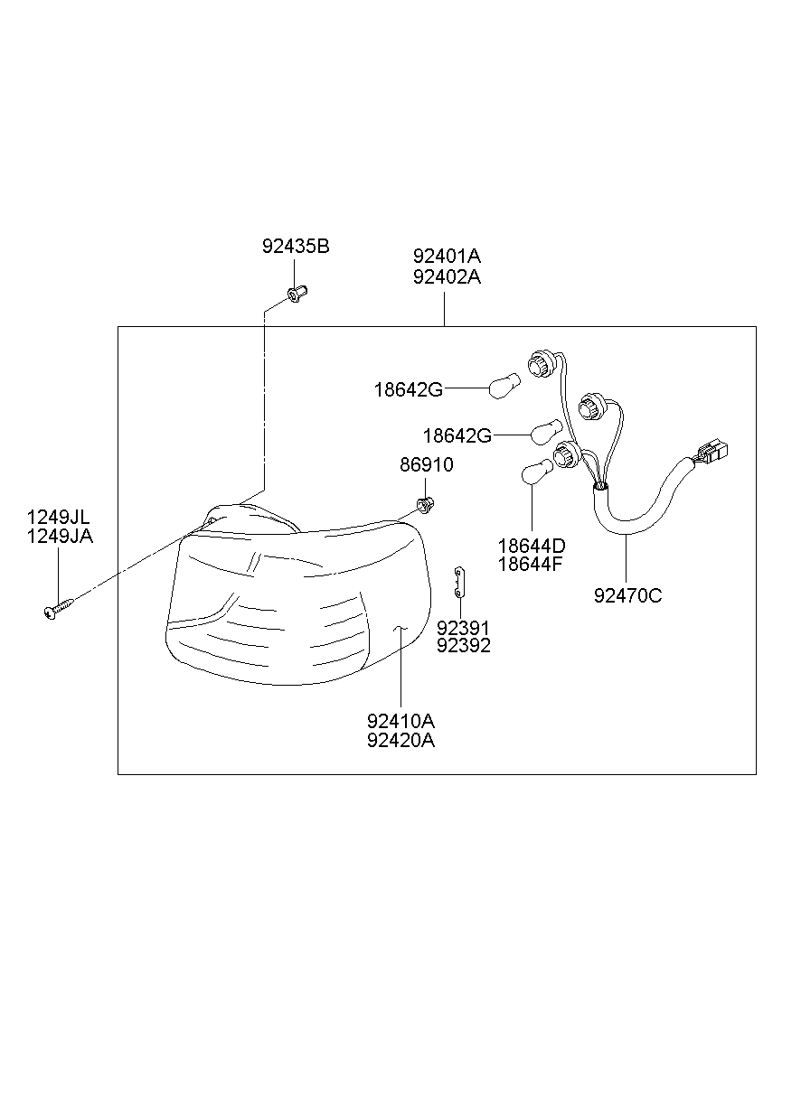 Rear Combination Lamp