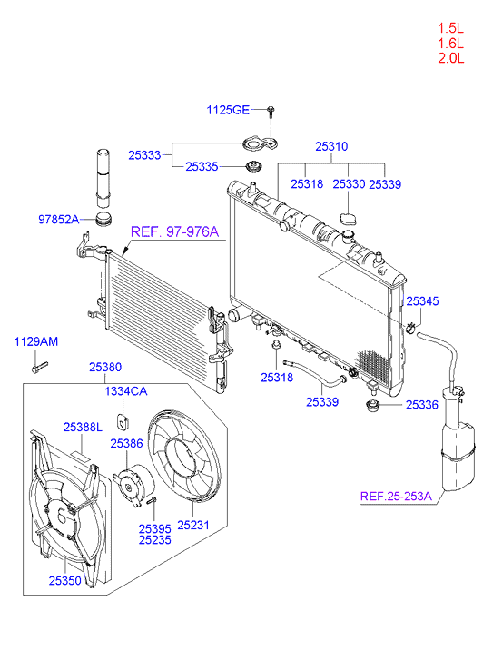 Radiator Hose