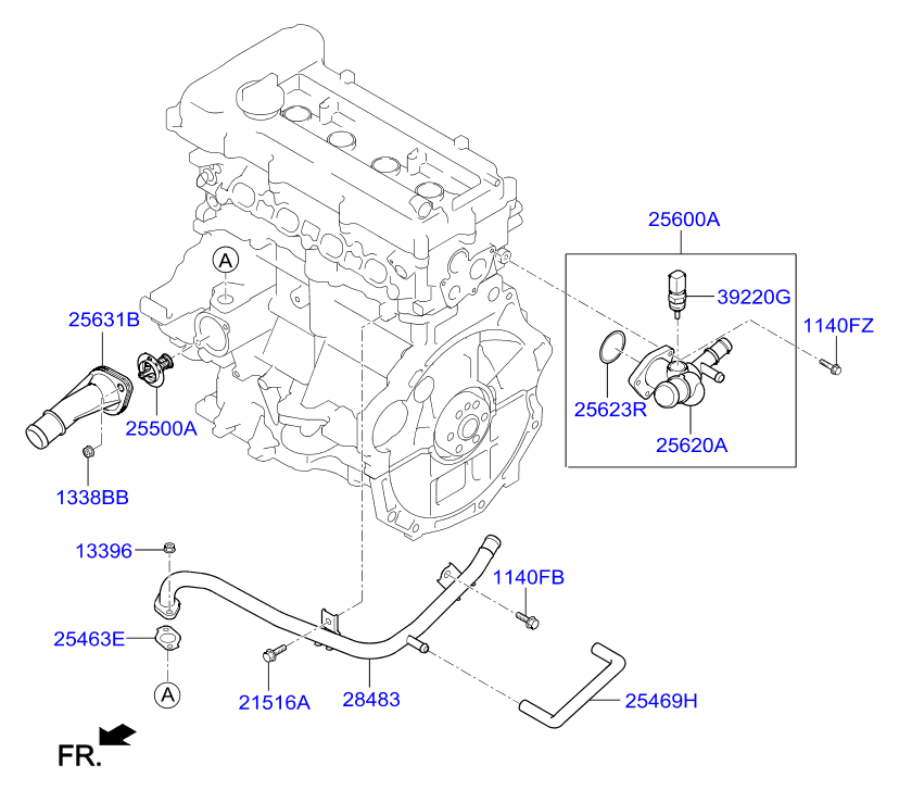 Coolant Pipe & Hose