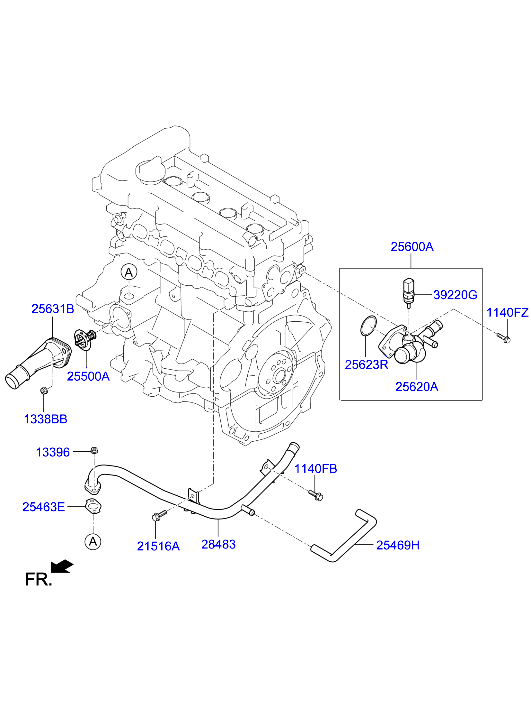 Coolant Pipe & Hose