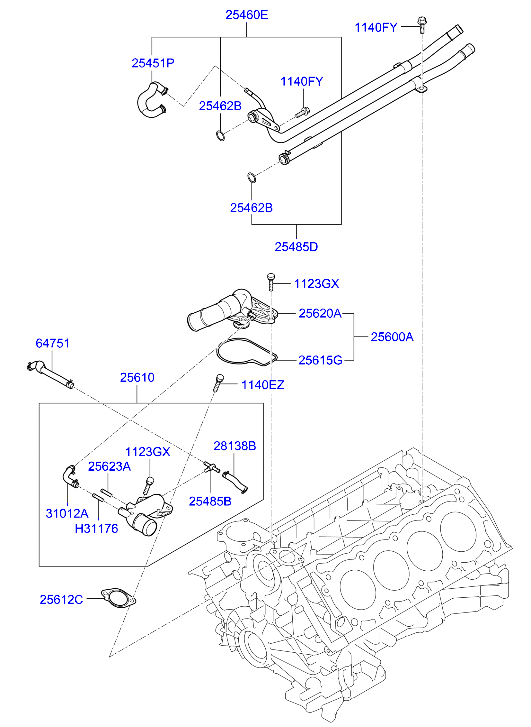 Coolant Pipe & Hose