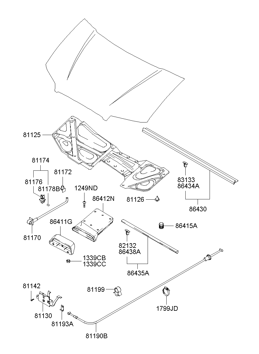 Hood Trim