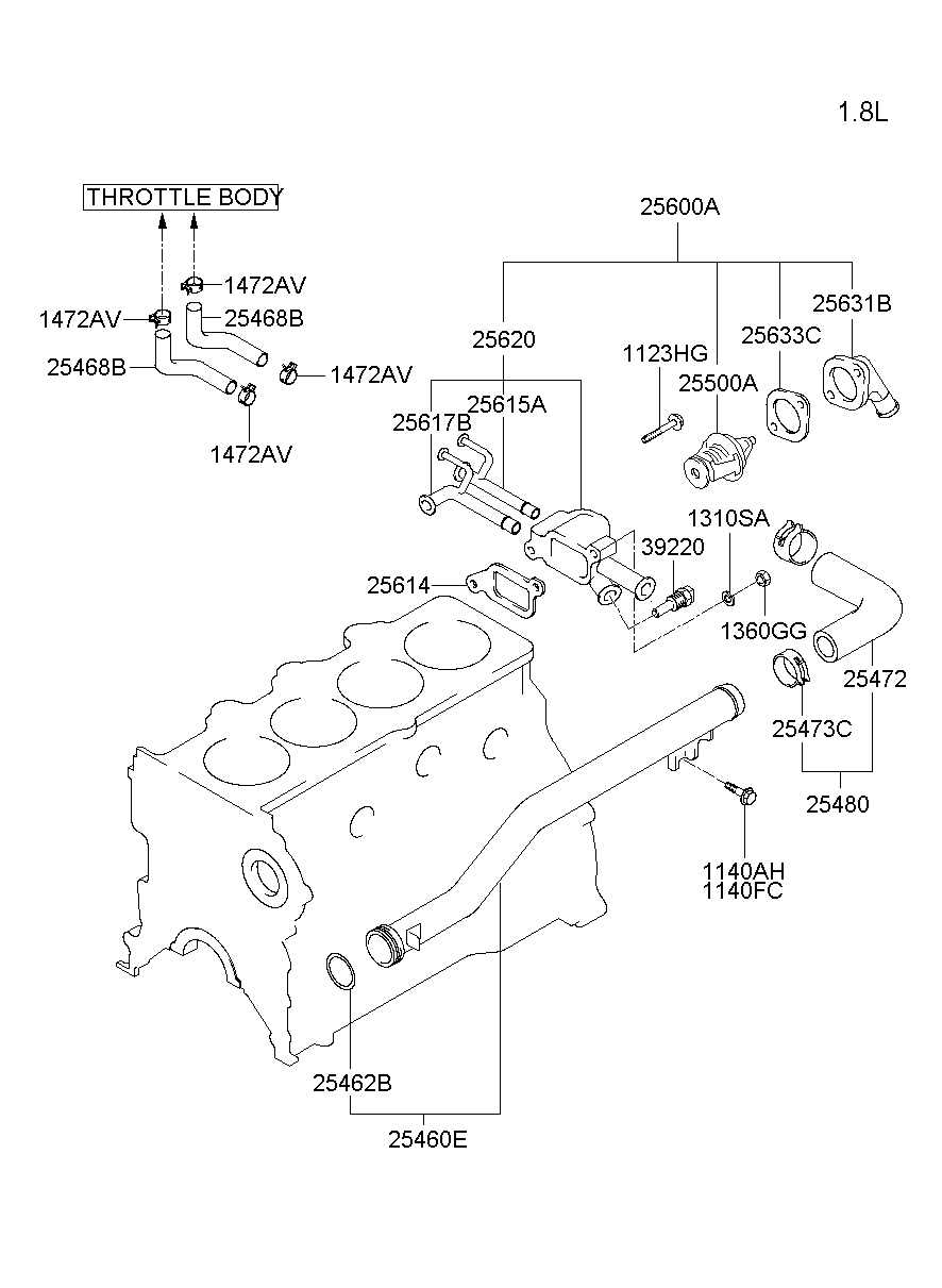 Coolant Hose & Pipe