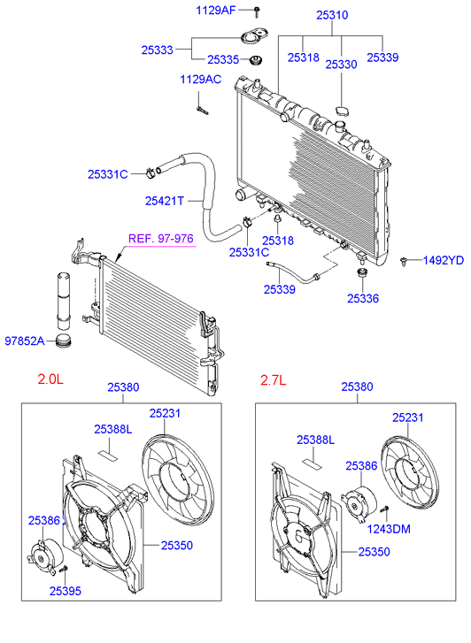 Radiator Hose