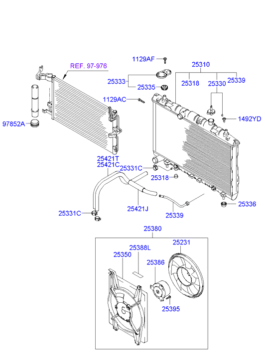 Radiator Hose