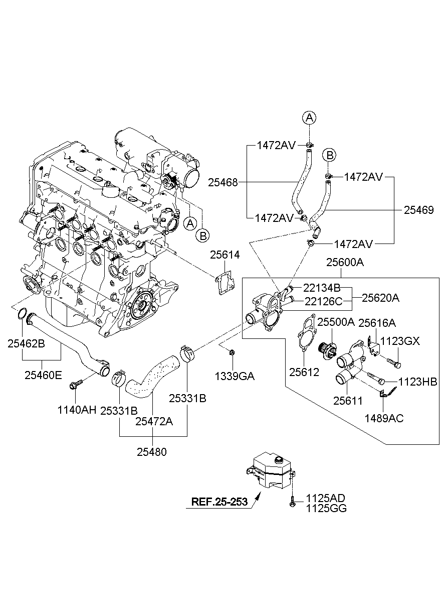 Coolant Pipe & Hose
