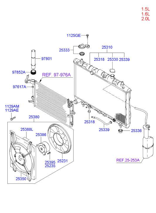 Radiator Hose