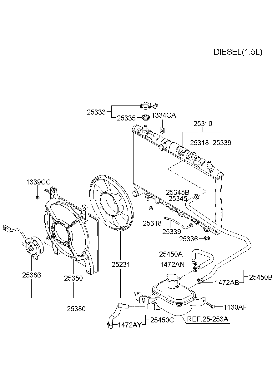 Radiator Hose