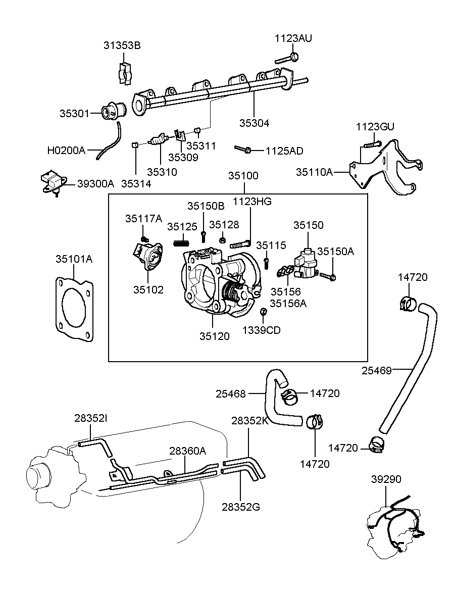 Throttle Body & Injector