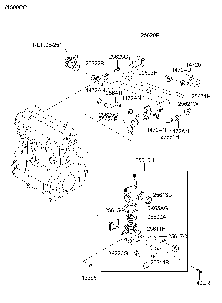Radiator Hose