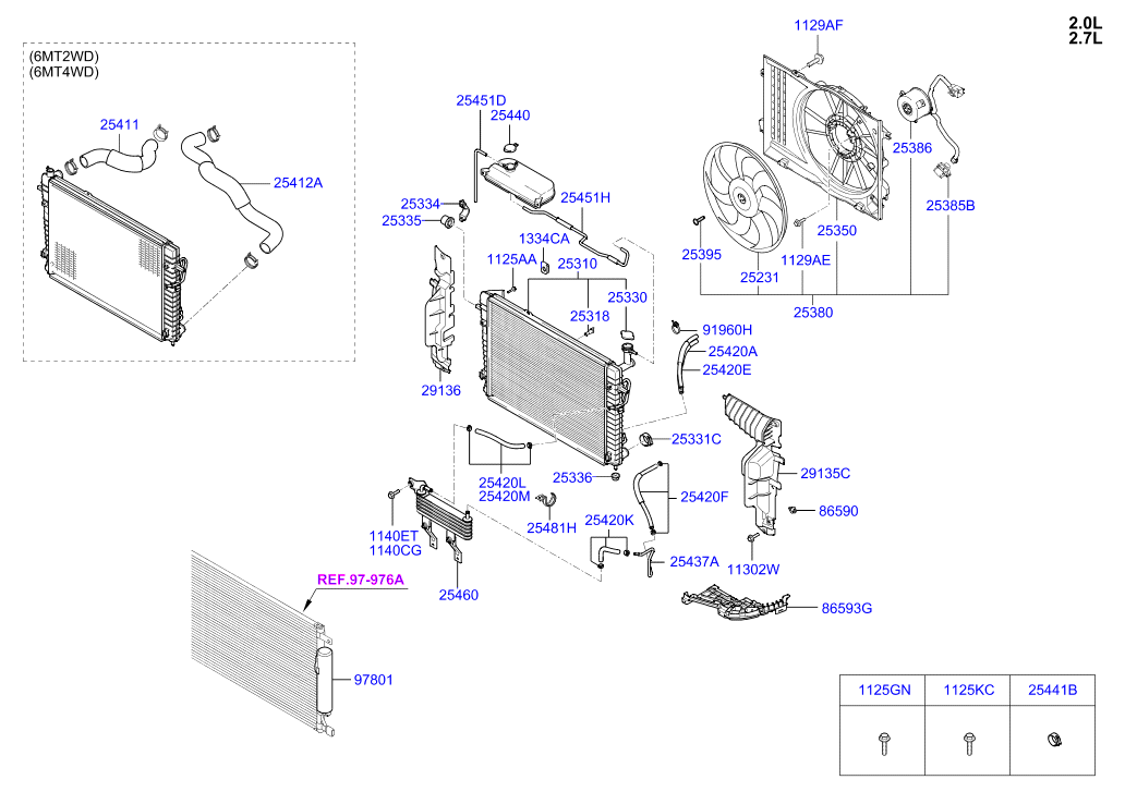 Radiator Hose