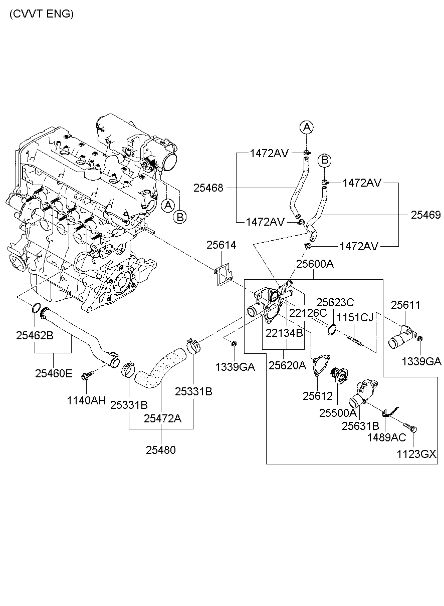 Coolant Pipe & Hose