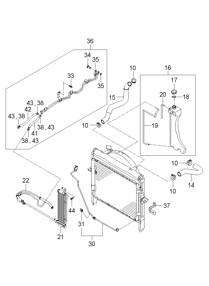 Radiator Hose