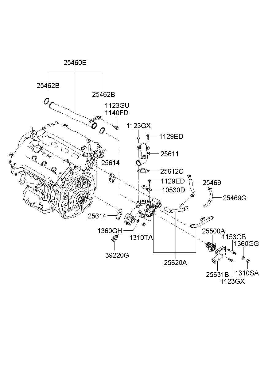 Coolant Pipe & Hose