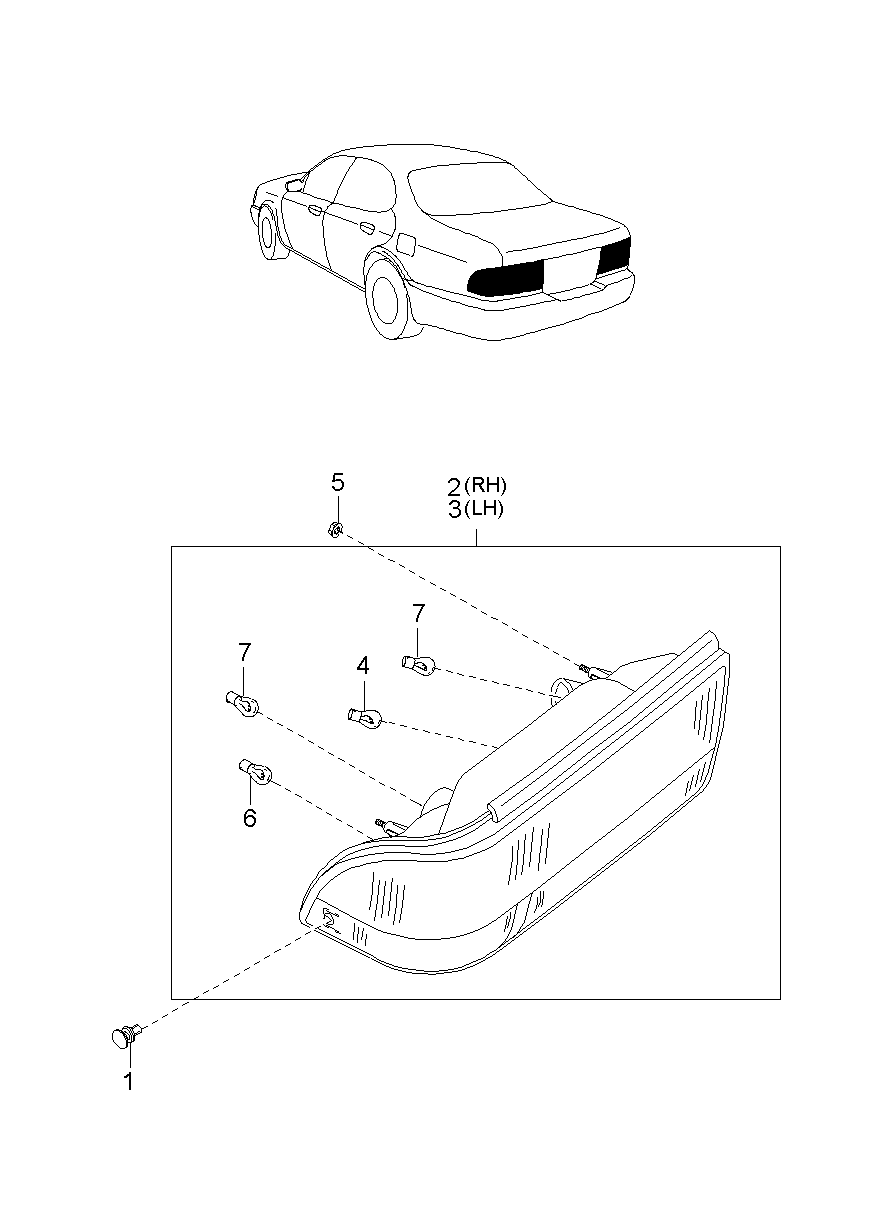Rear Combination Lamp
