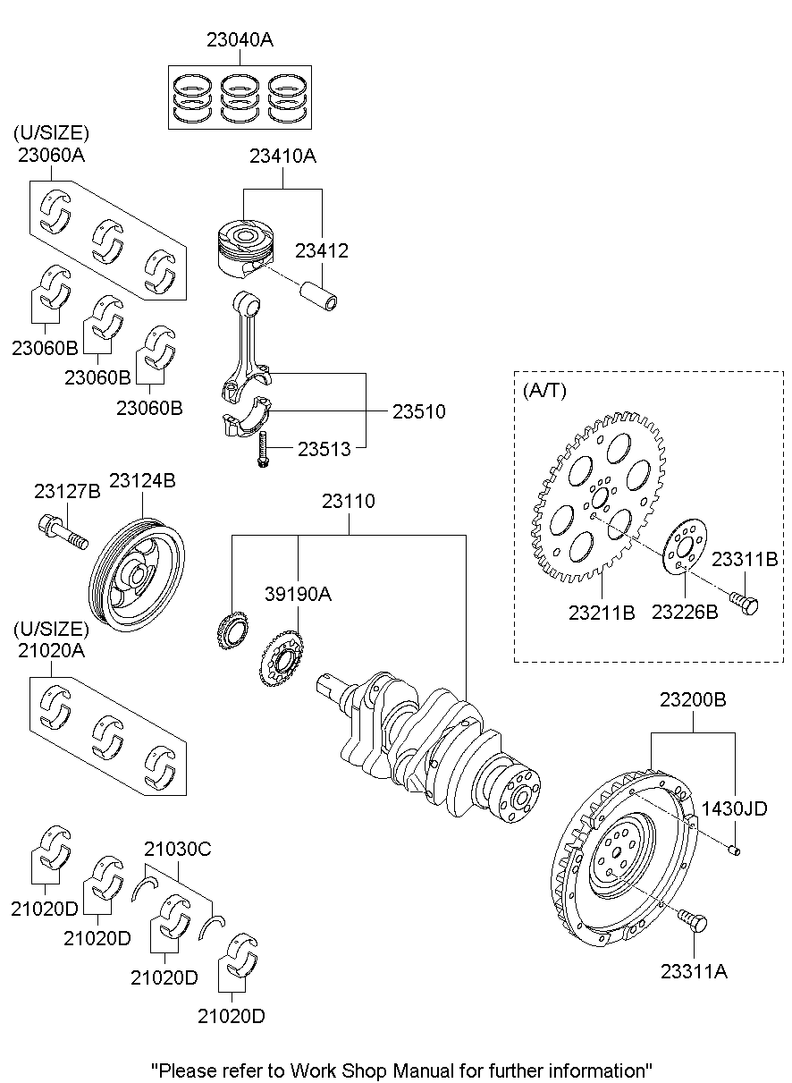 Crankshaft & Piston